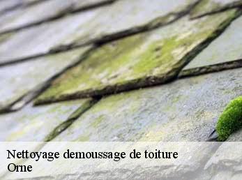 Nettoyage demoussage de toiture Orne 