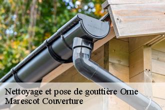 Nettoyage et pose de gouttière 61 Orne  Artisan Tribouillard