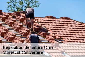 Réparation de toiture 61 Orne Marescot Couverture