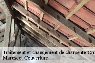 Traitement et changement de charpente 61 Orne  Artisan Tribouillard