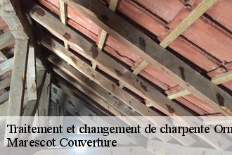 Traitement et changement de charpente 61 Orne Marescot Couverture