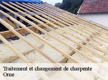 Traitement et changement de charpente Orne
