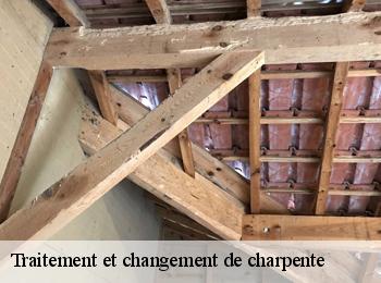 Traitement et changement de charpente
