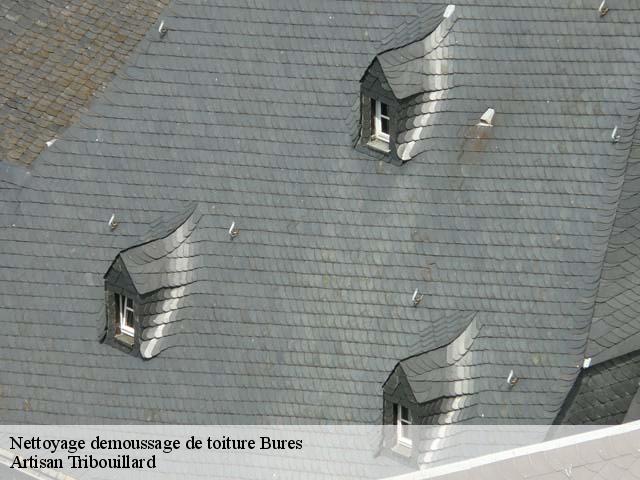 Nettoyage demoussage de toiture  bures-61170 Artisan Tribouillard