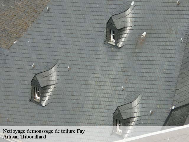 Nettoyage demoussage de toiture  fay-61390 Artisan Tribouillard