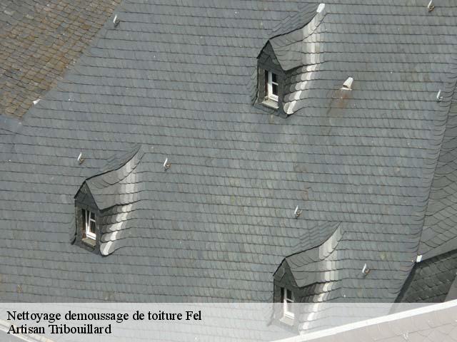 Nettoyage demoussage de toiture  fel-61160 Artisan Tribouillard