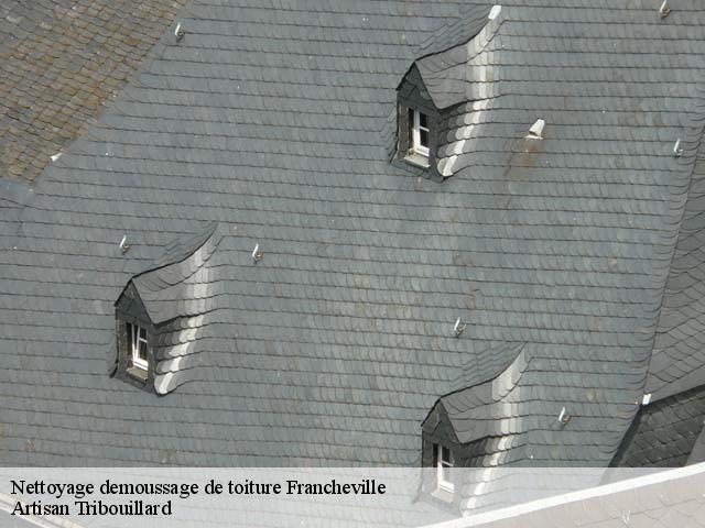 Nettoyage demoussage de toiture  francheville-61570 Artisan Tribouillard