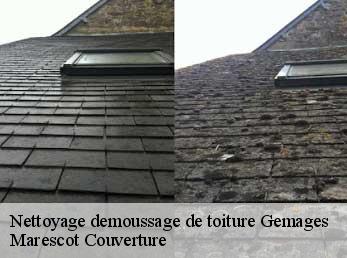 Nettoyage demoussage de toiture gemages-61130 Marescot Couverture