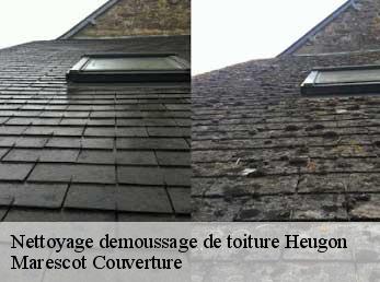 Nettoyage demoussage de toiture heugon-61470 Marescot Couverture