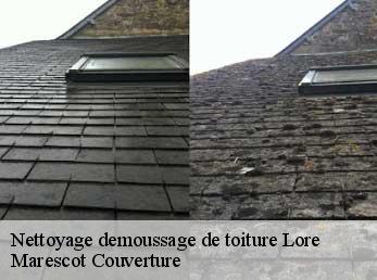 Nettoyage demoussage de toiture lore-61330 Marescot Couverture