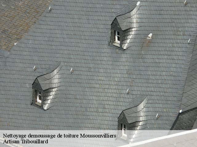 Nettoyage demoussage de toiture  moussonvilliers-61190 Artisan Tribouillard