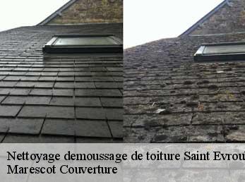 Nettoyage demoussage de toiture  saint-evroult-notre-dame-du-61550 Artisan Tribouillard