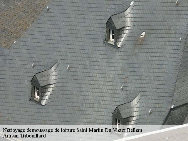 Nettoyage demoussage de toiture  saint-martin-du-vieux-bellem-61130 Artisan Tribouillard