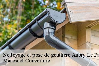 Nettoyage et pose de gouttière  aubry-le-panthou-61120 Artisan Tribouillard