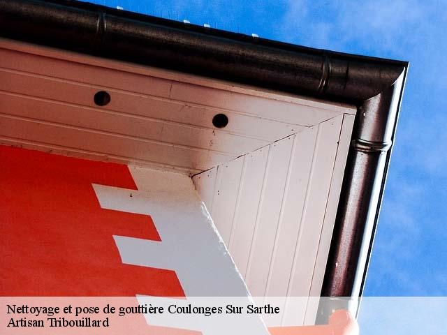 Nettoyage et pose de gouttière  coulonges-sur-sarthe-61170 Artisan Tribouillard
