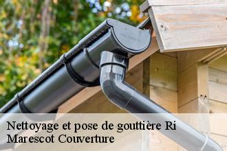 Nettoyage et pose de gouttière ri-61210 Artisan Tribouillard