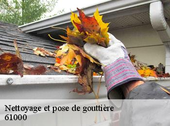 Nettoyage et pose de gouttière  61000