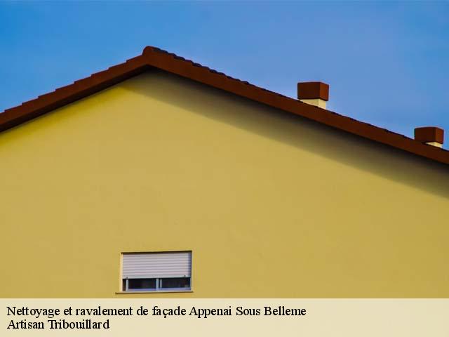 Nettoyage et ravalement de façade  appenai-sous-belleme-61130 Artisan Tribouillard