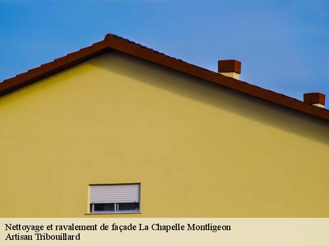 Nettoyage et ravalement de façade  la-chapelle-montligeon-61400 Artisan Tribouillard