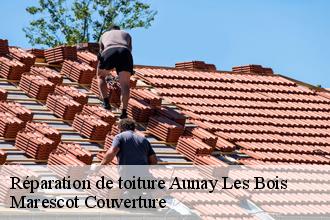 Réparation de toiture aunay-les-bois-61500 Marescot Couverture