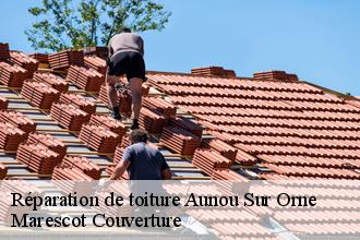 Réparation de toiture aunou-sur-orne-61500 Marescot Couverture