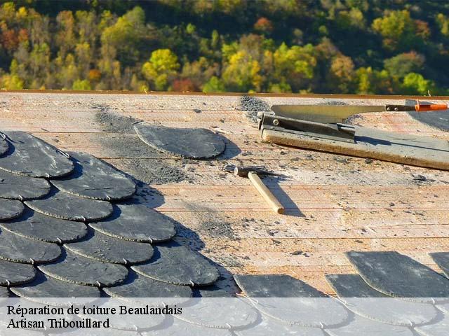 Réparation de toiture  beaulandais-61140 Artisan Tribouillard