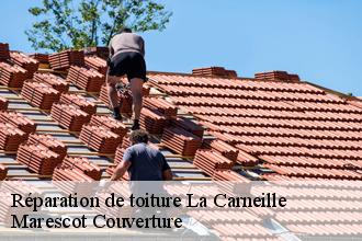 Réparation de toiture la-carneille-61100 Marescot Couverture
