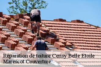 Réparation de toiture  cerisy-belle-etoile-61100 Artisan Tribouillard