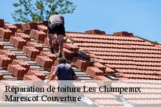 Réparation de toiture les-champeaux-61120 Marescot Couverture