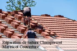 Réparation de toiture champsecret-61700 Marescot Couverture
