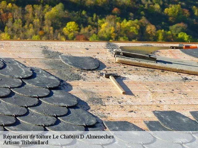 Réparation de toiture  le-chateau-d-almeneches-61570 Artisan Tribouillard