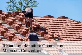 Réparation de toiture  commeaux-61200 Artisan Tribouillard