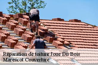 Réparation de toiture joue-du-bois-61320 Marescot Couverture