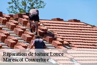 Réparation de toiture louce-61150 Marescot Couverture