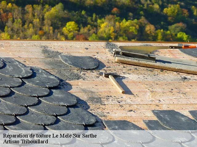 Réparation de toiture  le-mele-sur-sarthe-61170 Artisan Tribouillard