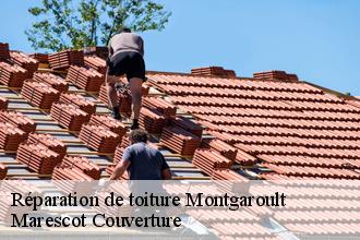 Réparation de toiture  montgaroult-61150 Artisan Tribouillard