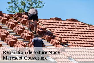 Réparation de toiture noce-61340 Marescot Couverture