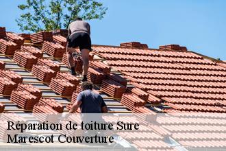 Réparation de toiture sure-61360 Marescot Couverture
