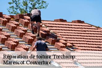 Réparation de toiture torchamp-61330 Marescot Couverture