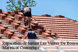 Réparation de toiture les-ventes-de-bourse-61170 Marescot Couverture