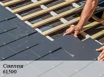 Couvreur 61500
