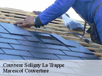 Couvreur  soligny-la-trappe-61380 Artisan Tribouillard