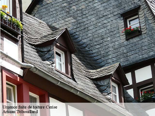 Urgence fuite de toiture  cerise-61000 Artisan Tribouillard