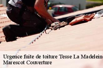 Urgence fuite de toiture tesse-la-madeleine-61140 Marescot Couverture