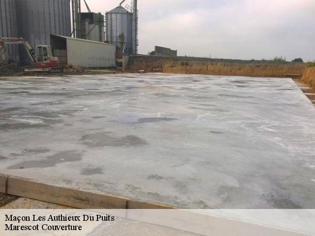 Maçon les-authieux-du-puits-61240 Marescot Couverture