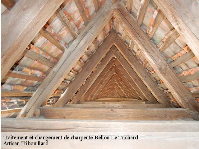 Traitement et changement de charpente  bellou-le-trichard-61130 Artisan Tribouillard