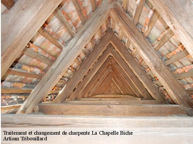 Traitement et changement de charpente  la-chapelle-biche-61100 Artisan Tribouillard