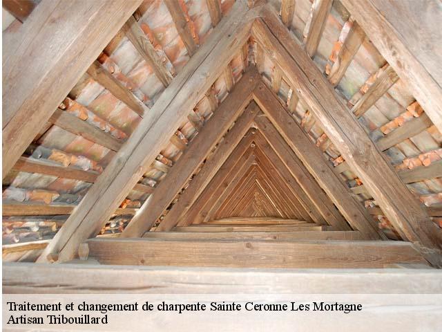Traitement et changement de charpente  sainte-ceronne-les-mortagne-61380 Artisan Tribouillard