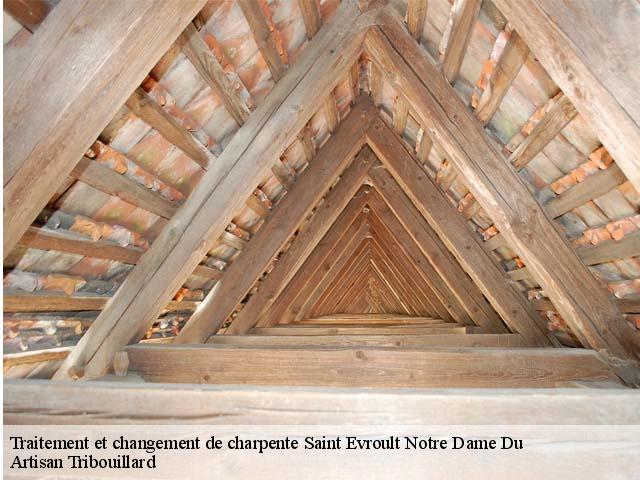 Traitement et changement de charpente  saint-evroult-notre-dame-du-61550 Artisan Tribouillard
