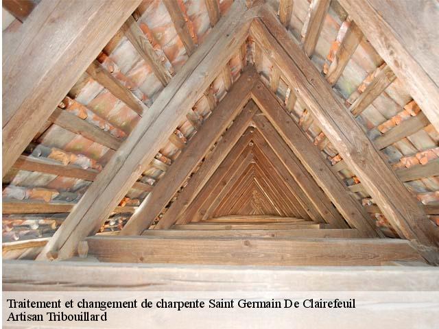 Traitement et changement de charpente  saint-germain-de-clairefeuil-61240 Artisan Tribouillard